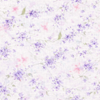 Petal Set Ame