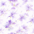 Petal Set Ame