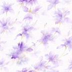 Petal Set Ame