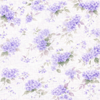 Petal Set Ame