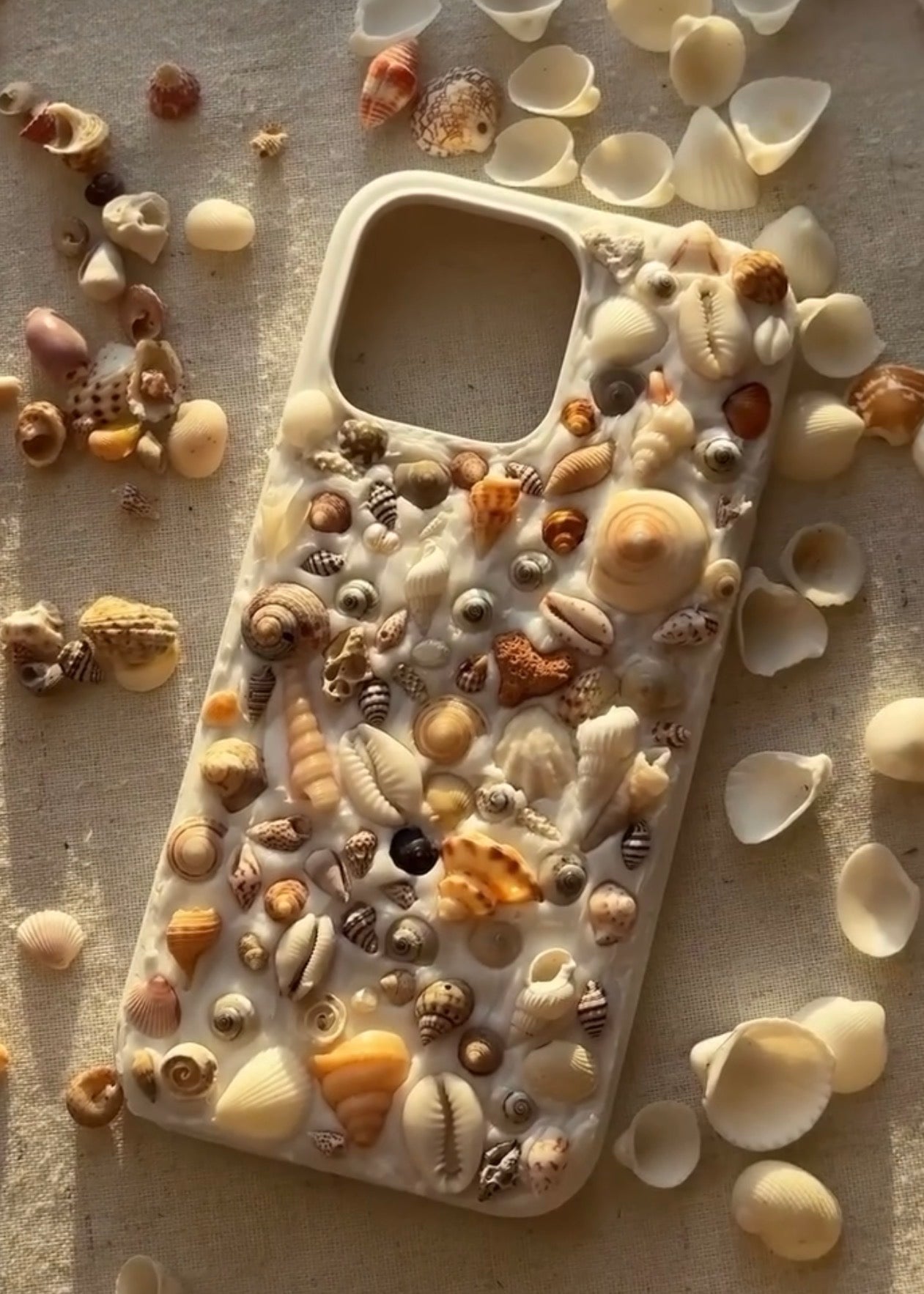 iPhone 16 Pro Max Shell Phone Case Naive